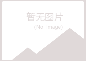 偃师雪青设计有限公司